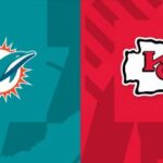 chf v dolphins