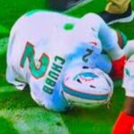 chubb