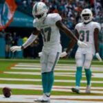 dolphins pl