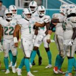 dolphins pl