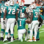 dolphins players