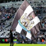newcastle flag