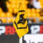 wolves ff