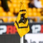 wolves flag