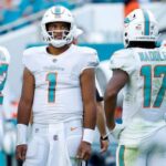 dolphins pl