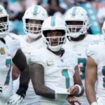 dolphins players