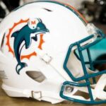 dolpins helmet