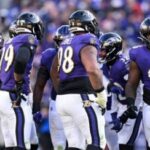 ravens pl