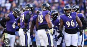ravens pl