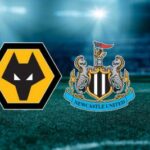 new v wolves