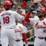 cardinals 2024