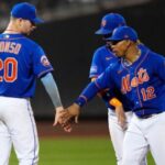 Mets pl