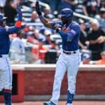 Mets pl