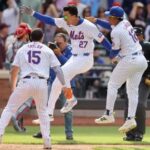 Mets pl