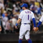 Mets pl
