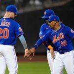 Mets pl