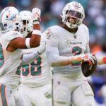 dolphins pl