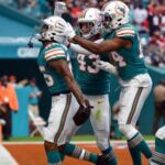 dolphins pl