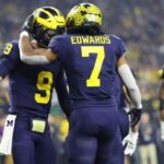 wolverines