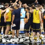 wolverines