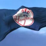 yankees f