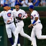 cubs pl