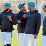marlins