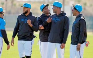 marlins