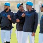 marlins