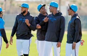 marlins