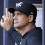 yankees m