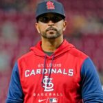 Cardinals