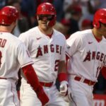 angels pl