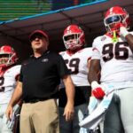 bulldogs m