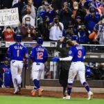 mets pl