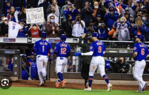 mets pl