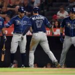 rays pl