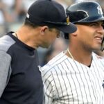 yankees m