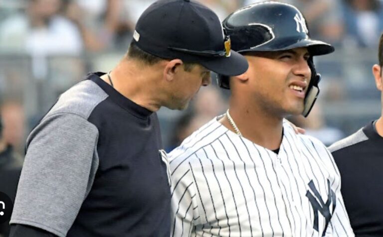 yankees m