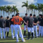 orioles pl