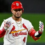 Willson C
