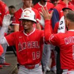 angels pl