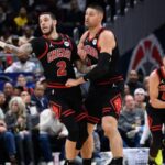 bulls pl