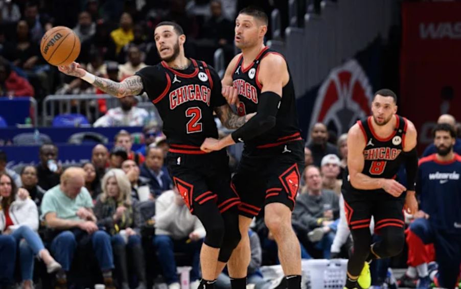 bulls pl
