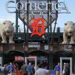 Tigers C