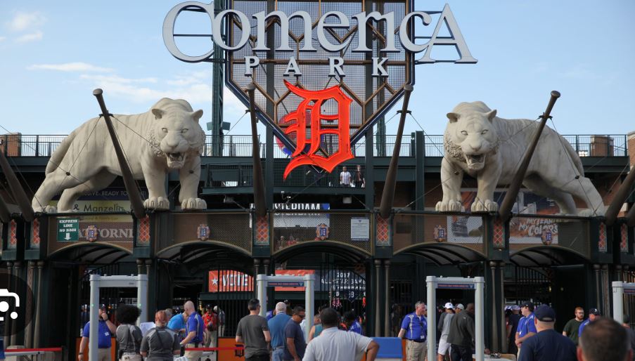 Tigers C