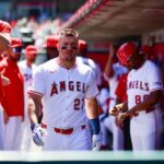 angels pl