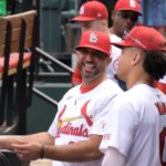 cards pl