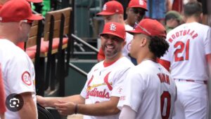 cards pl