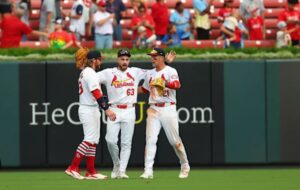 cards pl